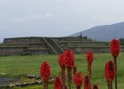 Teotihuacan, Templo de Quetzalcoatl
