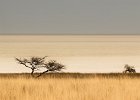 Etosha Pfanne