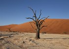 Dead Vlei