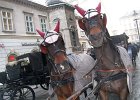 Reise nach Wien