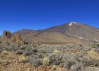 Blick von Los Roques auf Teide