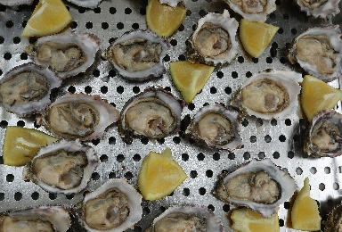 026-Austern.jpg